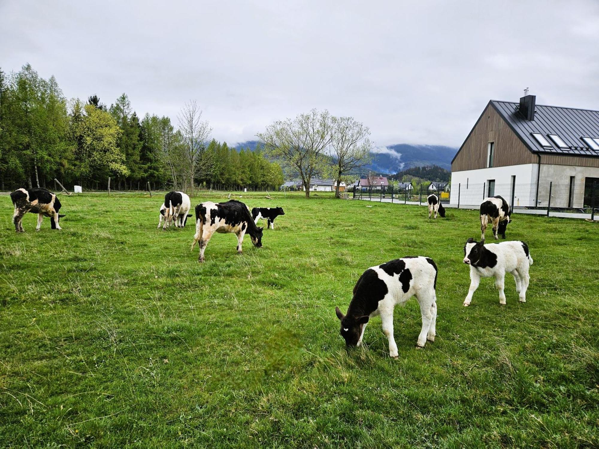 Zacisze W Karkonoszach Villa Карпач Екстериор снимка